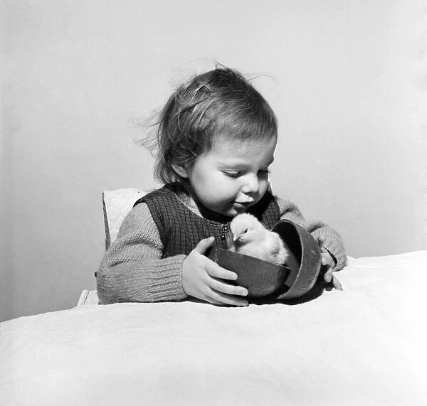 Children, Animals, Easter Chick, Egg. Diane Petrie and Chick