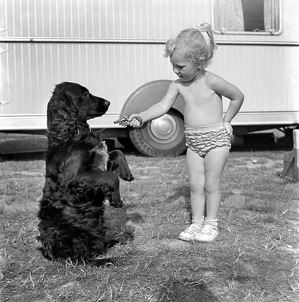 Children and animals friendship. Mr. and Mrs. R. Smart, holds up Rinty, the Spaniel