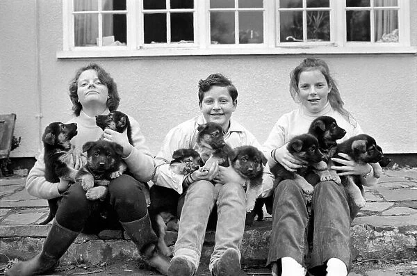 Children with Animals: Left to Right: Kathryn, (15), Peter (10), Jane (14)