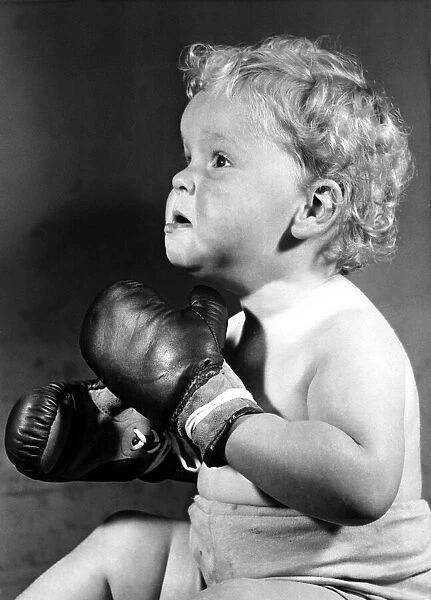 Children - Boxing baby, Paul Nute, of Chiswick wearing boxing gloves - The future