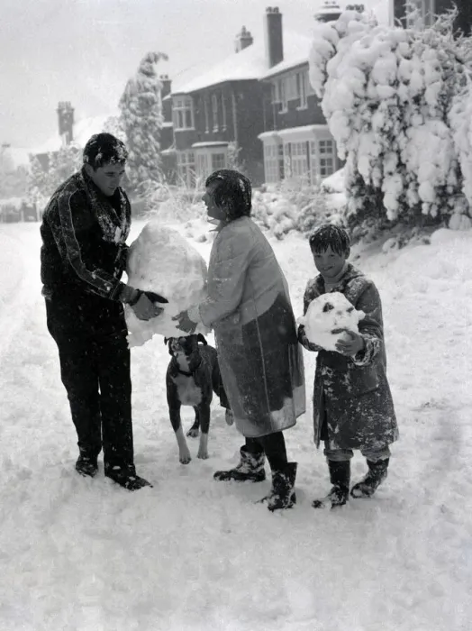 Framed Print : Children build a snowman with the help of their boxer dog in Hadley Wood Hertforshire Framed Print : Children build a snowman with the help of their boxer dog in Hadley Wood Hertforshire