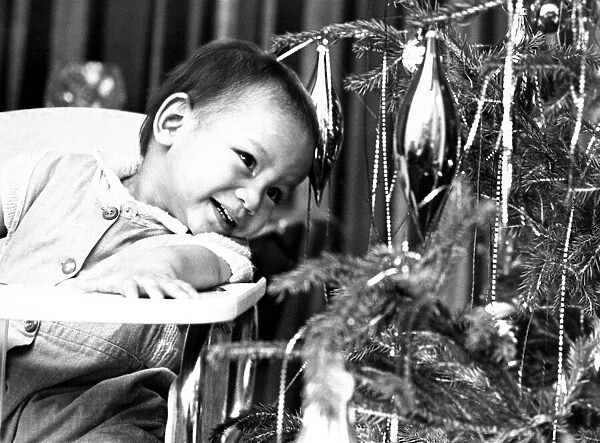 Children - Christmas Tree Decorations John Patrick is fascinated by
