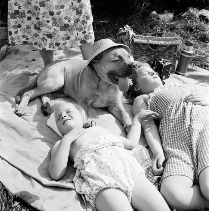 Framed Print : Children and dog at Runnymede enjoying the early summer sun. May 1953 D2774