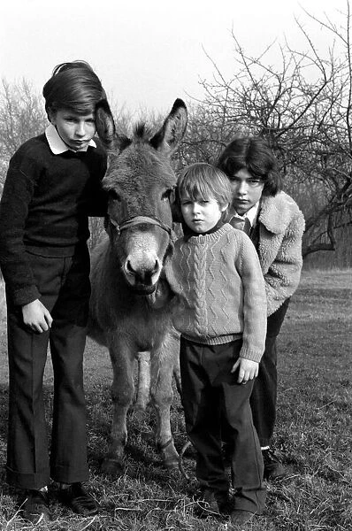 Children with donkey. February 1975 75-00759-002
