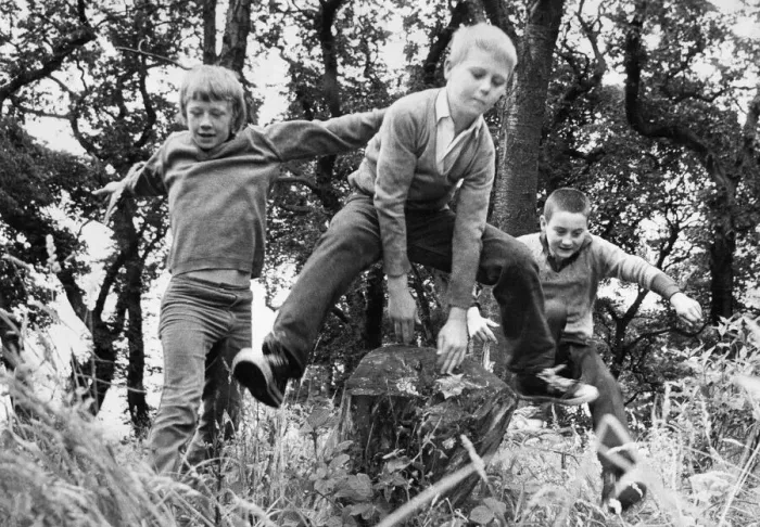 Framed Print : Children enjoy a day out in the woods playing leapfrog Framed Print : Children enjoy a day out in the woods playing leapfrog