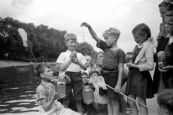 Children fishing in Barking Park. August 1952 C3848