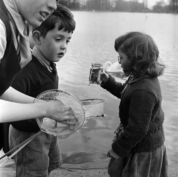 Children fishing in Kensington Gardens pond, London. 25th April 1955