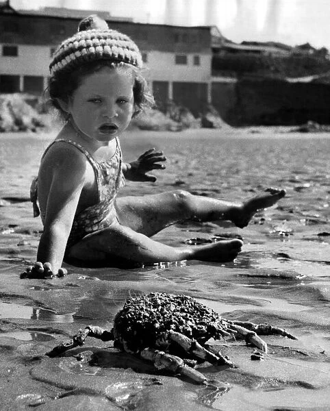 Children - Holidays Little baby girl comes across a crab on the beach