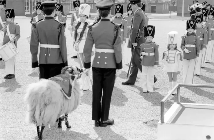 Framed Print : Children: Passing Out Parade: General views during the march past. April 1977 77-02110