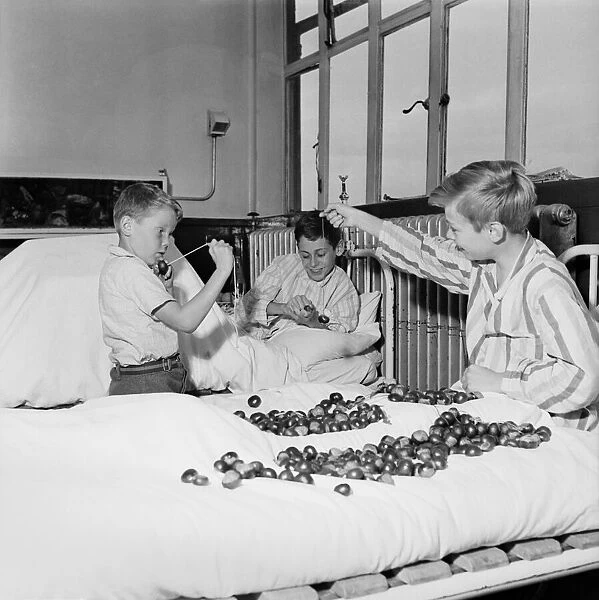 Children playing conkers at Royal National Orthopaedic Hospital at Stanmore