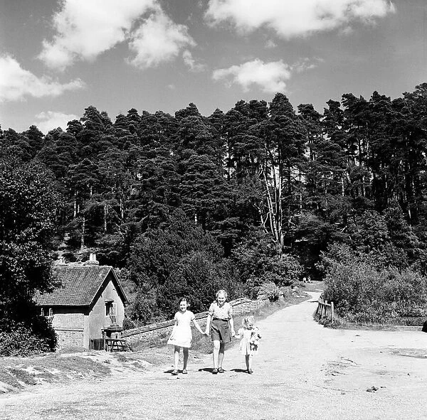 Children playing in the hamlet of Friday Street in Surrey. 28th August 1952