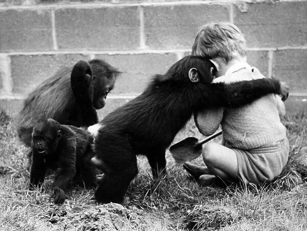 Children playing with monkeys at Chester Zoo, 16th May 1960