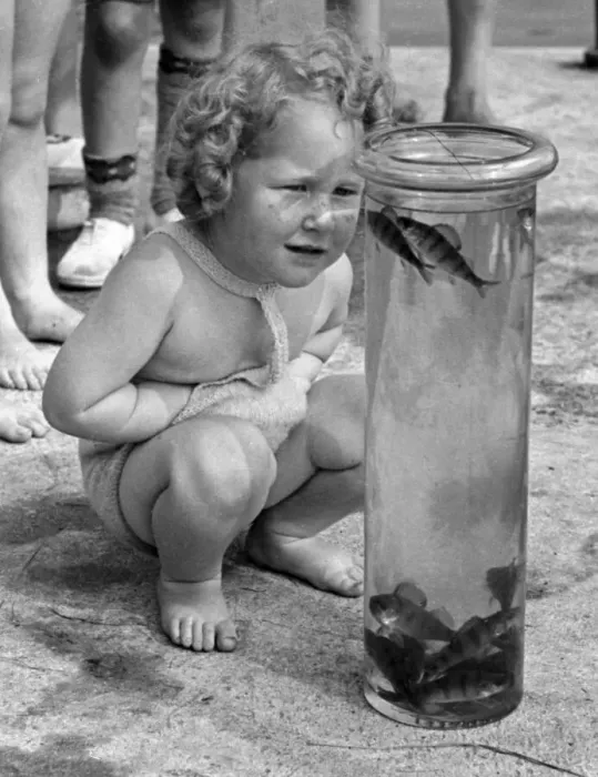 Framed Print : Children seen here with their days catch in a jar on the banks of the River Lea