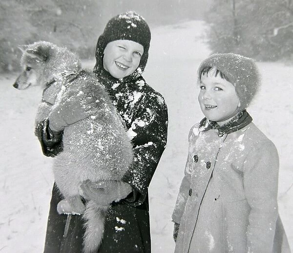 Children sledging in the snow in and around Hadley Wood