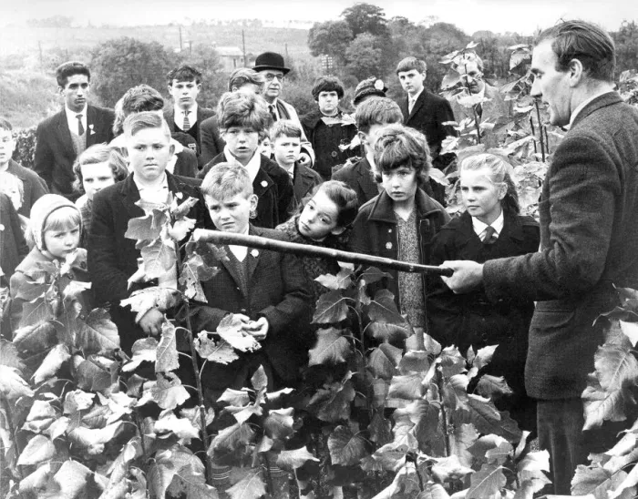 Framed Print : These children from the Tree Lovers League visited the Forestry Commission nursery