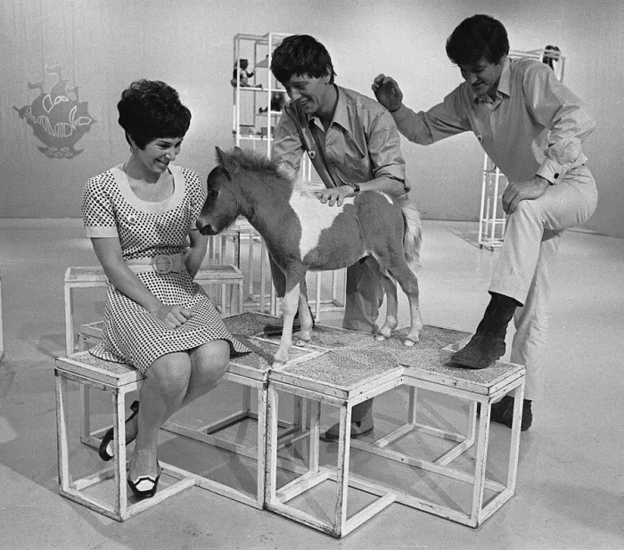 Framed Print : Childrens television programme Blue Peter 1968 Valerie Singleton John Noakes playing with