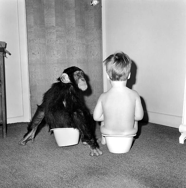 The chimp who lives with a boy: Charles, the two-year-old Chimp