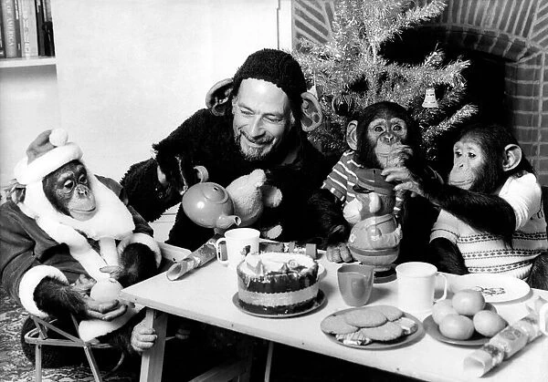 Chimpanzee Christmas party December 1978 P004075
