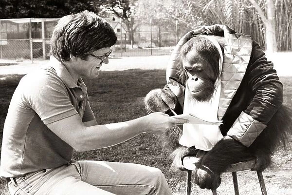 A chimpanzee wearing a mans jacket and clothes reading a paper with a man