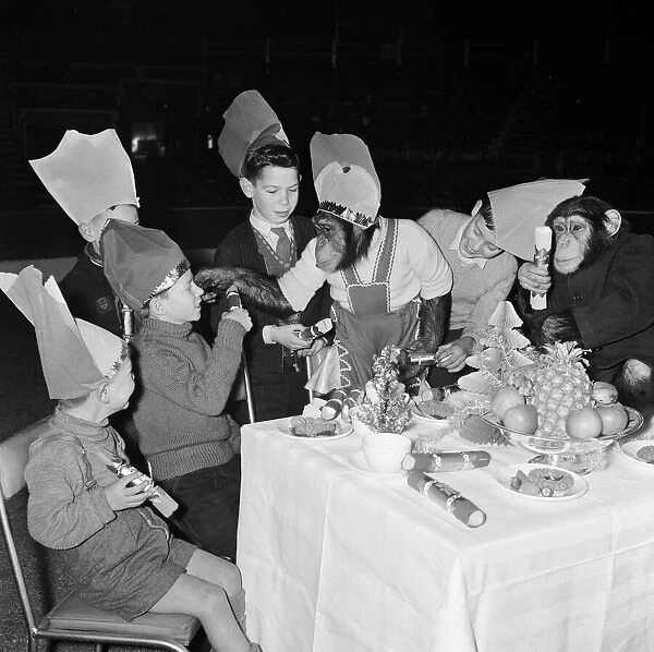 Chimpanzees of Bertram Mills circus with children at a Christmas party