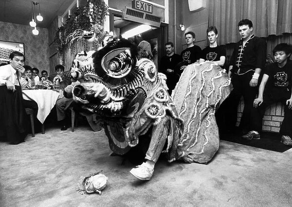 A Chinese lion welcomes the Chinese New Year in the Jade Garden. 6th February 1989