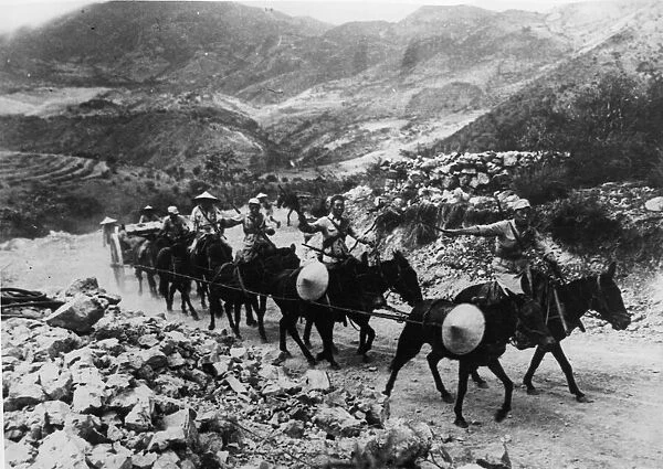 A Chinese mule team hauls a Chinese Howitzer over the mountainous terrain of the Burma