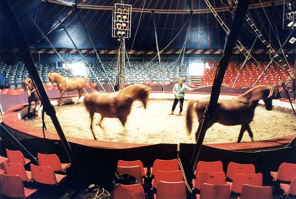 Chipperfields Circus, Sallyann Roncescu puts the arab horses through their paces