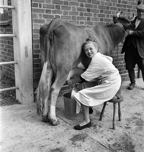 Christine Adrian with 'Carrefour Buttercup'. September 1952 C4608
