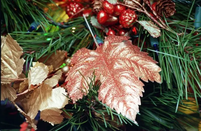 Framed Print : Christmas Tree feature December 1997 Gold sprayed leaf for Gold and Fruit tree Framed Print : Christmas Tree feature December 1997 Gold sprayed leaf for Gold and Fruit tree