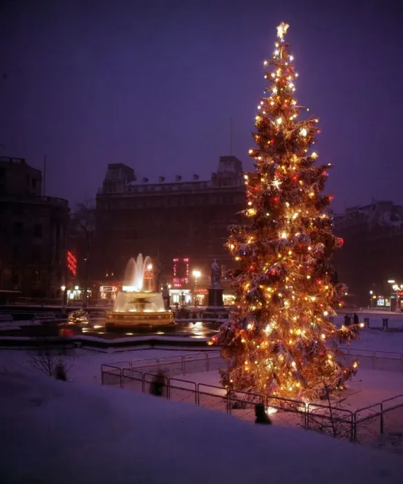 Framed Print : Christmas Tree, Fountains and Lights in Trafalgar Square, London Framed Print : Christmas Tree, Fountains and Lights in Trafalgar Square, London