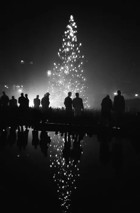 Framed Print : The Christmas Tree from Norway is illuminated for the first time in Trafalgar Square