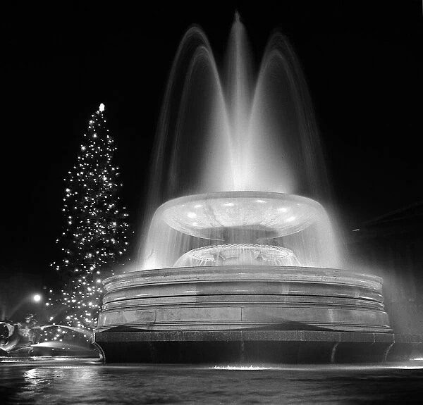 The Christmas Tree in Trafalgar Square in 1962