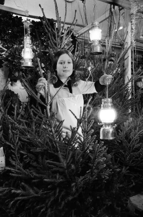 Framed Print : Christmas Trees, On Sale during blackout, being sold by candlelight, Market Hall Framed Print : Christmas Trees, On Sale during blackout, being sold by candlelight, Market Hall