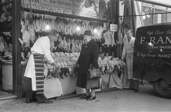 Framed Print : Christmas turkeys on display at F. Range High Class Butchers shop at 37 Wanstead High Framed Print : Christmas turkeys on display at F. Range High Class Butchers shop at 37 Wanstead High