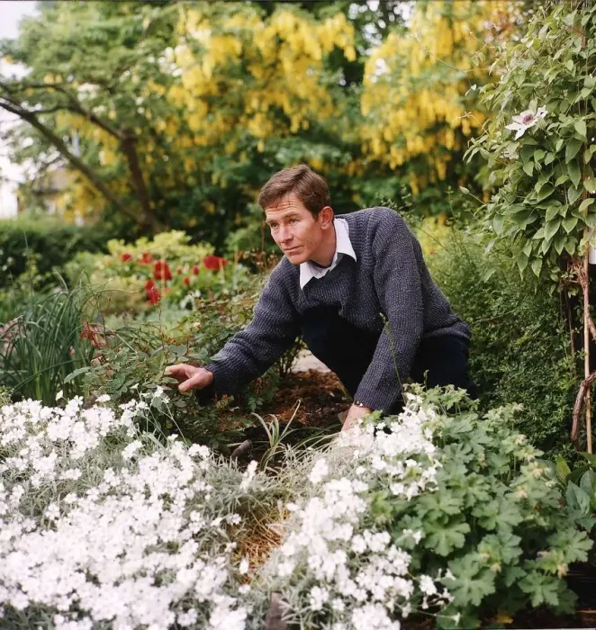 Framed Print : Christopher Ravenscroft Actor crouching down in his garden looking at a rose bush Framed Print : Christopher Ravenscroft Actor crouching down in his garden looking at a rose bush