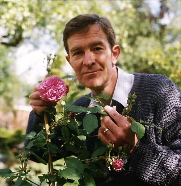 Christopher Ravenscroft Actor holding rose bush flower in garden