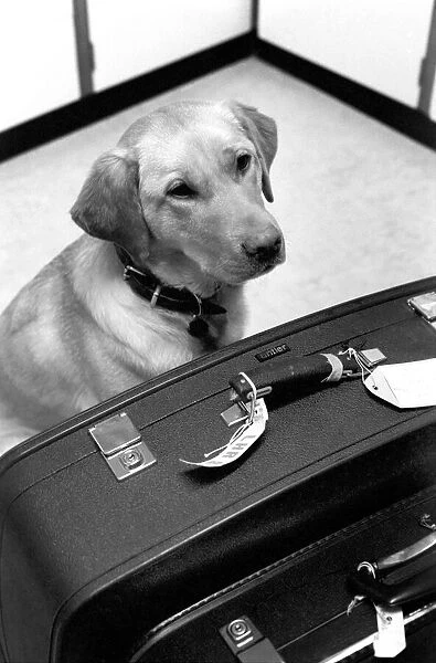 Chumley the dog. January 1975 75-00526-001