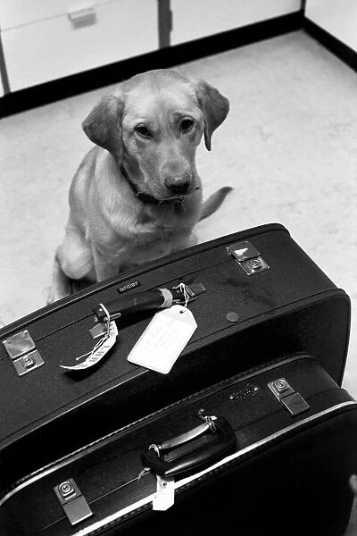Chumley the dog. January 1975 75-00526-002