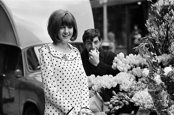 Cilla Black, pictured in London. 8th May 1964