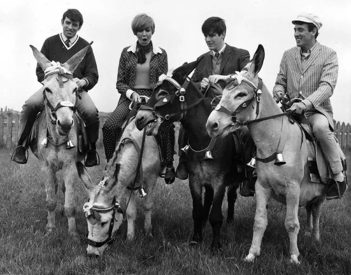 Framed Print : Cilla Black pop singer entertainer with The Bachelors 1966 riding on donkeys at Blackpool