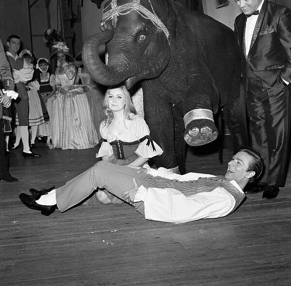Cinderella rehearsals at the Manchester Palace Theatre. Tanya the Elephant did not put