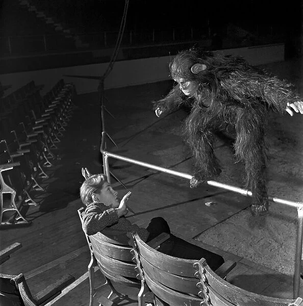 Circus Clowns Escaped gorilla Elvira at the Bertram Mills Circus menaces a member