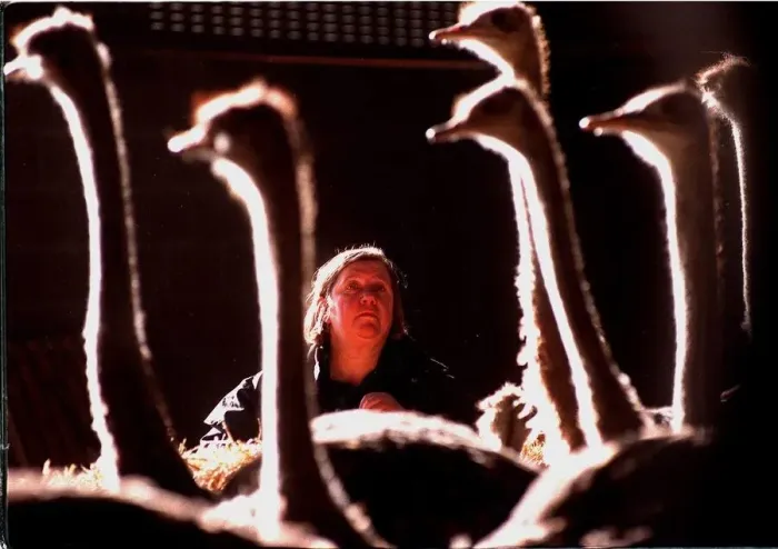 Framed Print : Clarissa Dickson-Wright with some of her ostriches