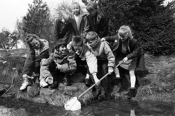 Cleaning up... Meltham County Primary School pupils work in the conservation scheme which