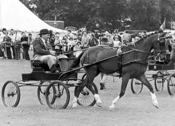 Framed Print : Cleveland Agricultural Show, Mr R Corner of Trimdon village taking part in the driving