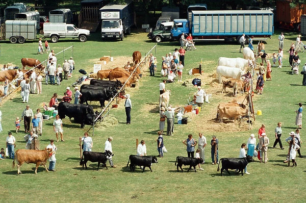Cleveland County Show at Stewarts Park, a general scene from the show. 23rd July 1994