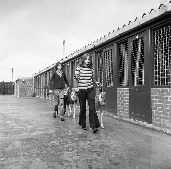 Cleveland Park kennels on the move, Teesside. 1973