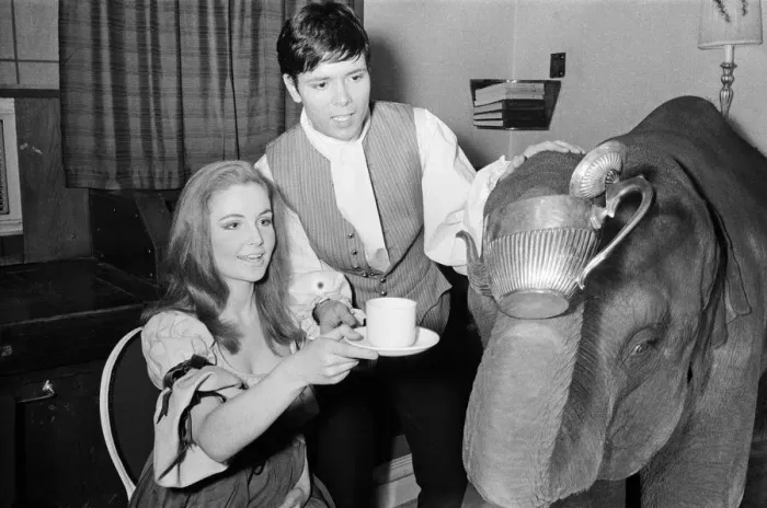 Framed Print : Cliff Richard, Pippa Steel (18 year old cousin of Hayley Mills) and Tanya