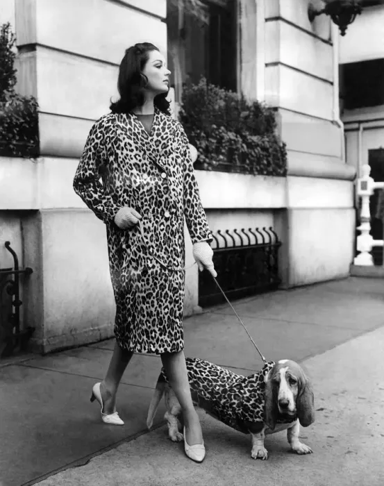 Framed Print : Clothing Fashion 1960. May 1960