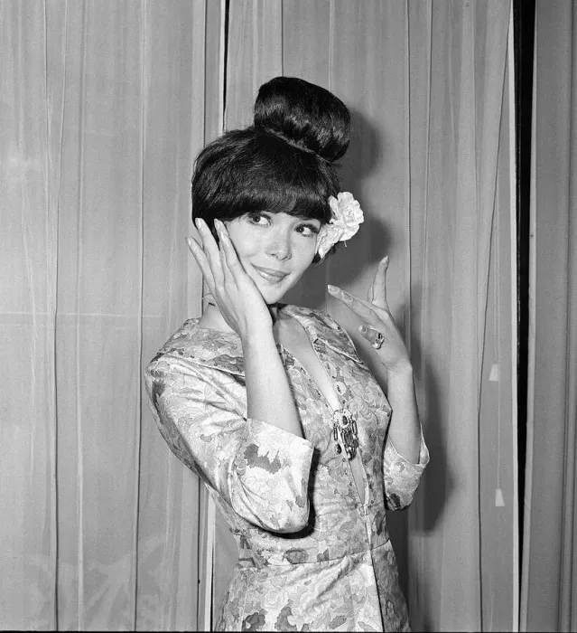 Framed Print : Clothing Fashion June 1965 Jean Rollins wearing 3 / 4 length sleeve shirt top evening Framed Print : Clothing Fashion June 1965 Jean Rollins wearing 3 / 4 length sleeve shirt top evening